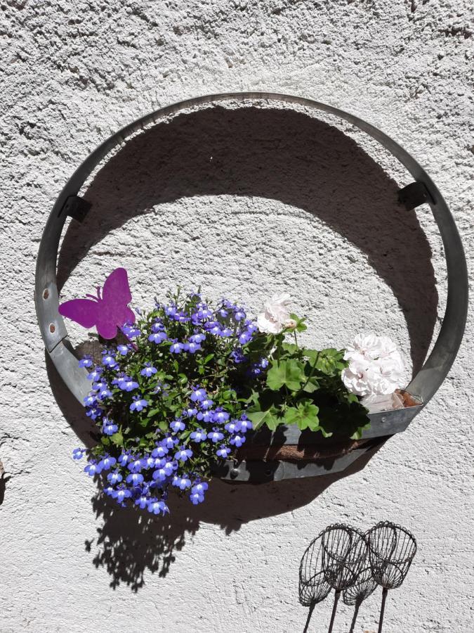 Bed & Breakfast Maison Du Coquelicot