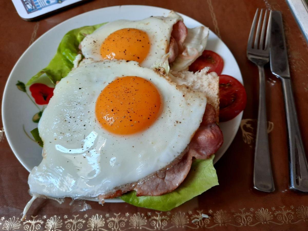 Bed & Breakfast Maison Du Coquelicot Tourouzelle