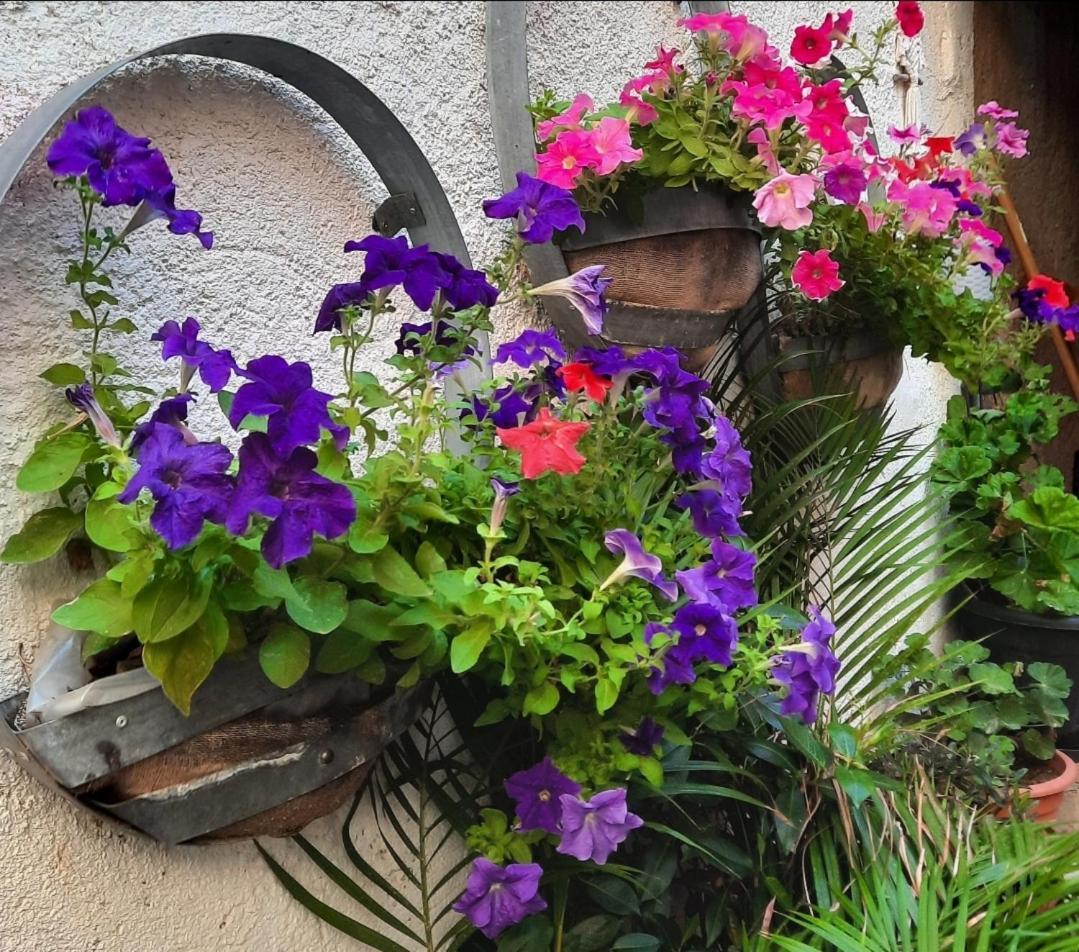 Maison Du Coquelicot Bed & Breakfast Tourouzelle